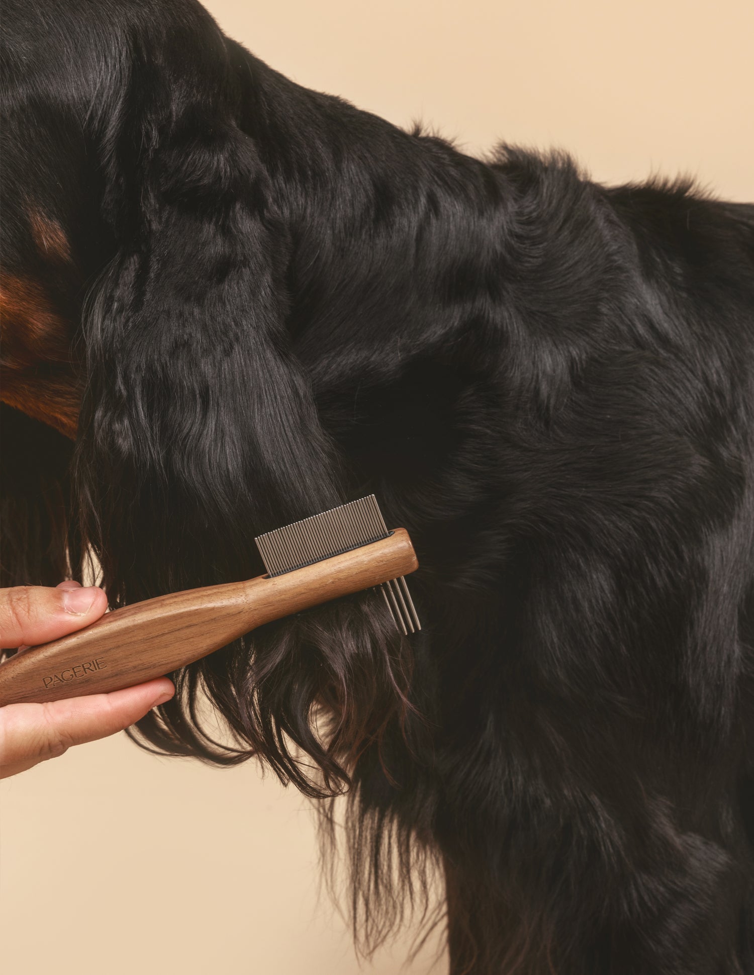 The Pansage — Kit de Grooming Premium da PAGERIE — vista principal