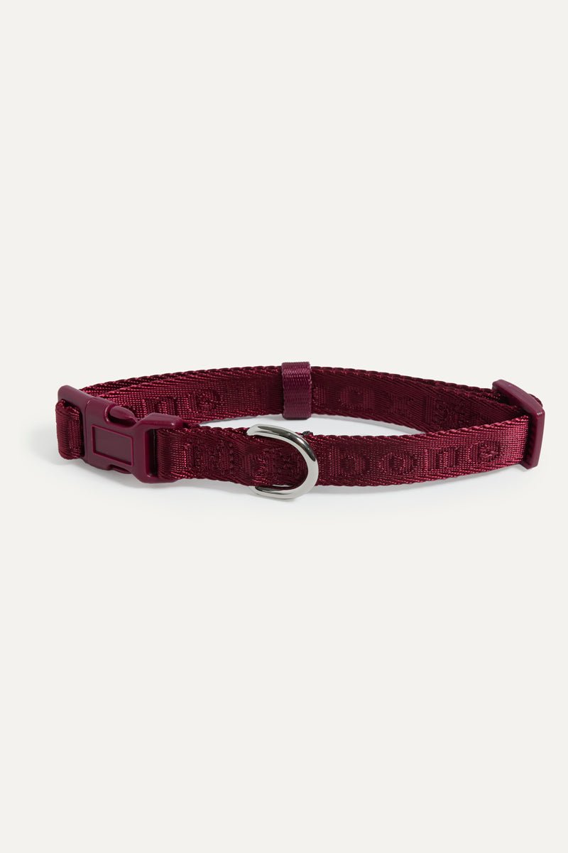 Coleira Signature Collar premium da Maxbone em Cherry Cola — vista principal (01)