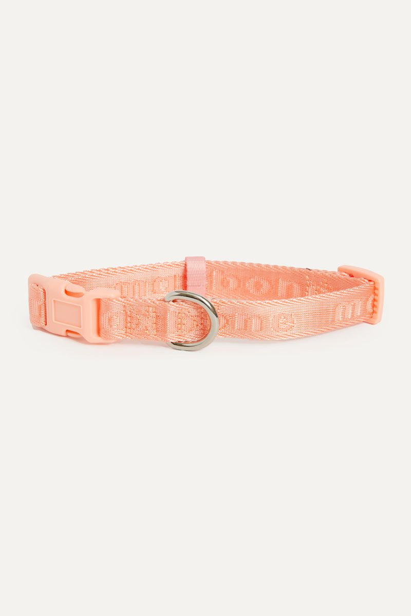 Coleira Signature Collar premium da Maxbone em camel — detalhe do acabamento (09)